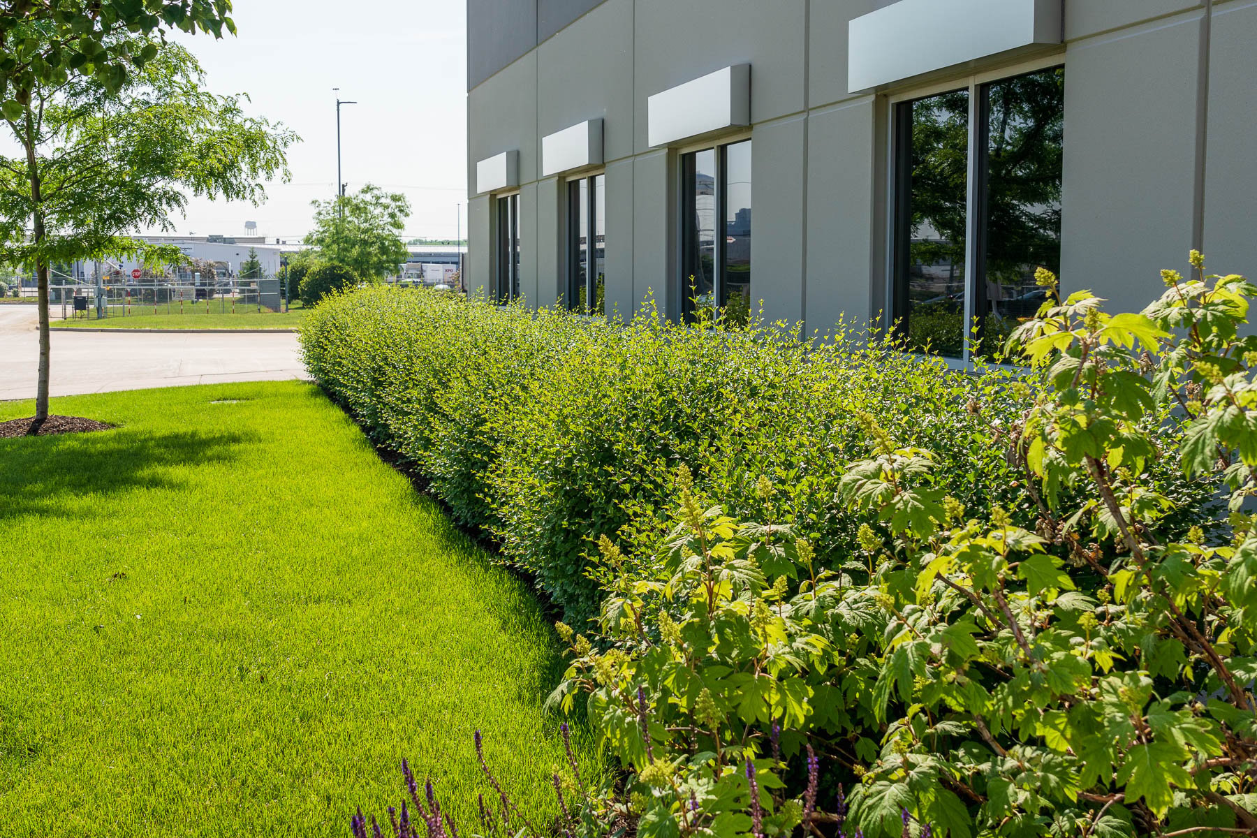 View of 3 Landscaping Ideas for Industrial Buildings in Greater Chicago